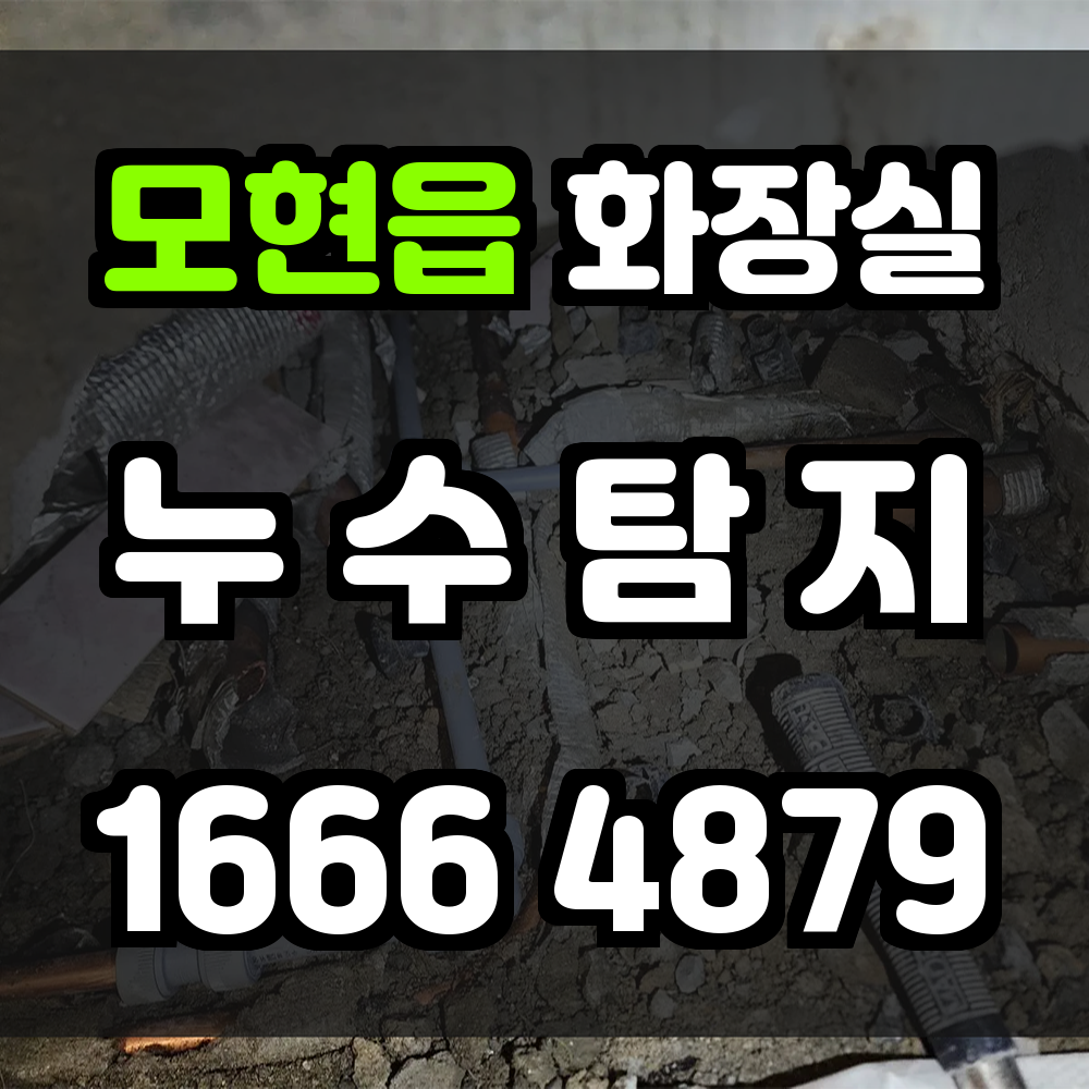 모현읍 화장실 누수