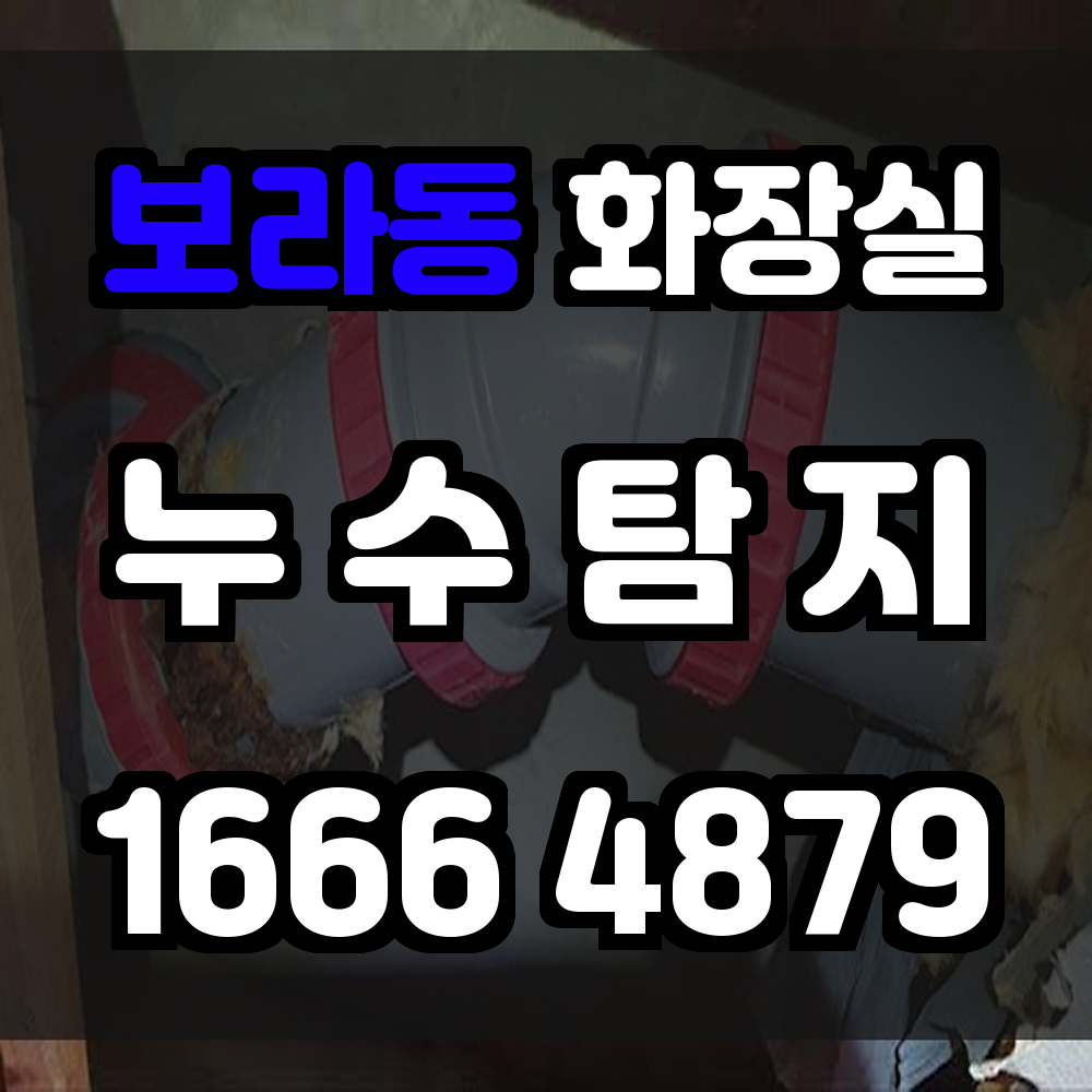 보라동 화장실 누수