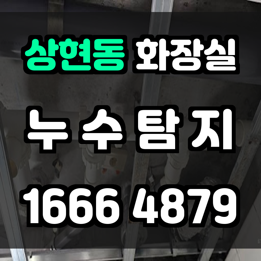 상현동 화장실 누수탐지 빠르고 정확한 진단으로 구조물 보호