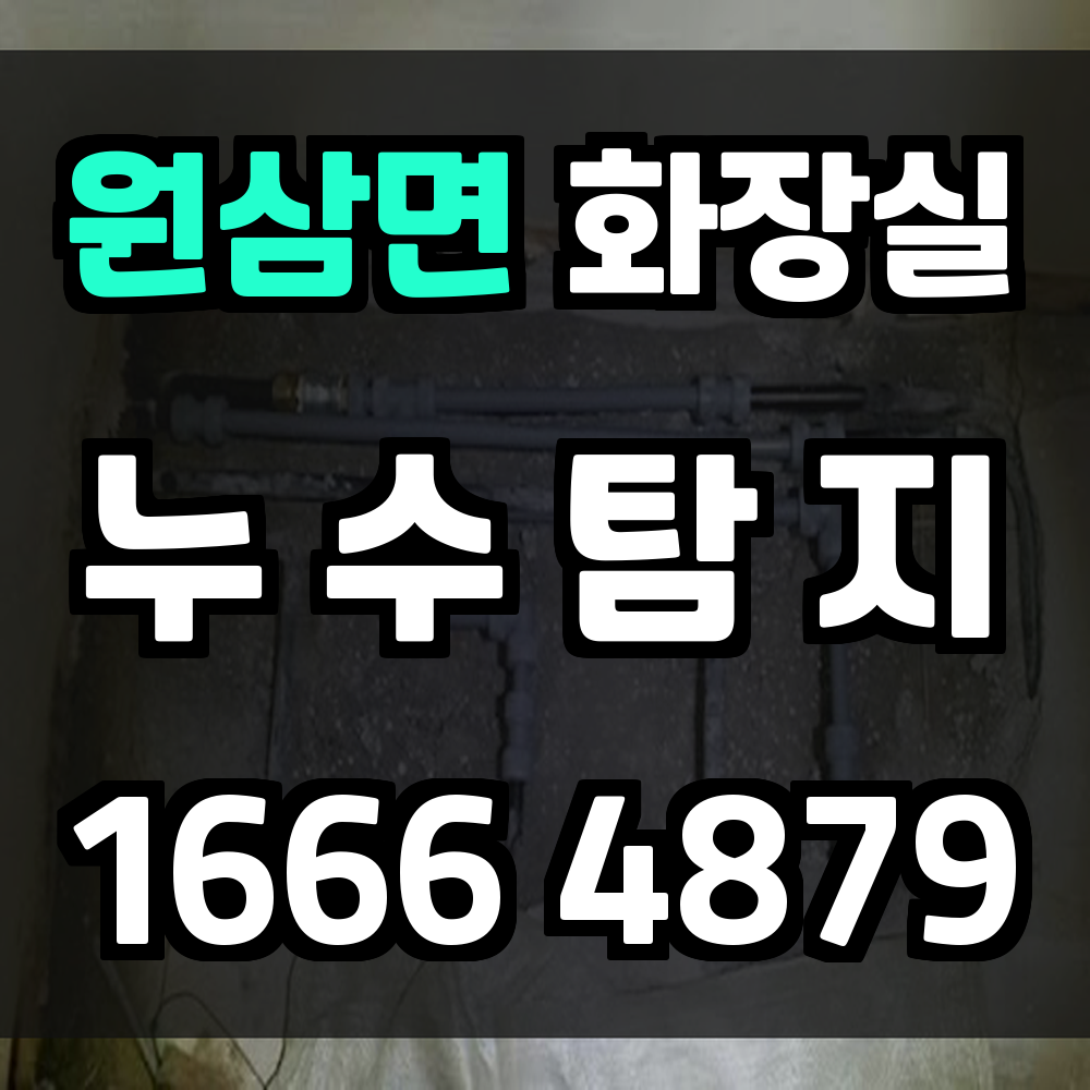 원삼면 화장실 누수탐지 빠른 복구로 생활의 질 지키기