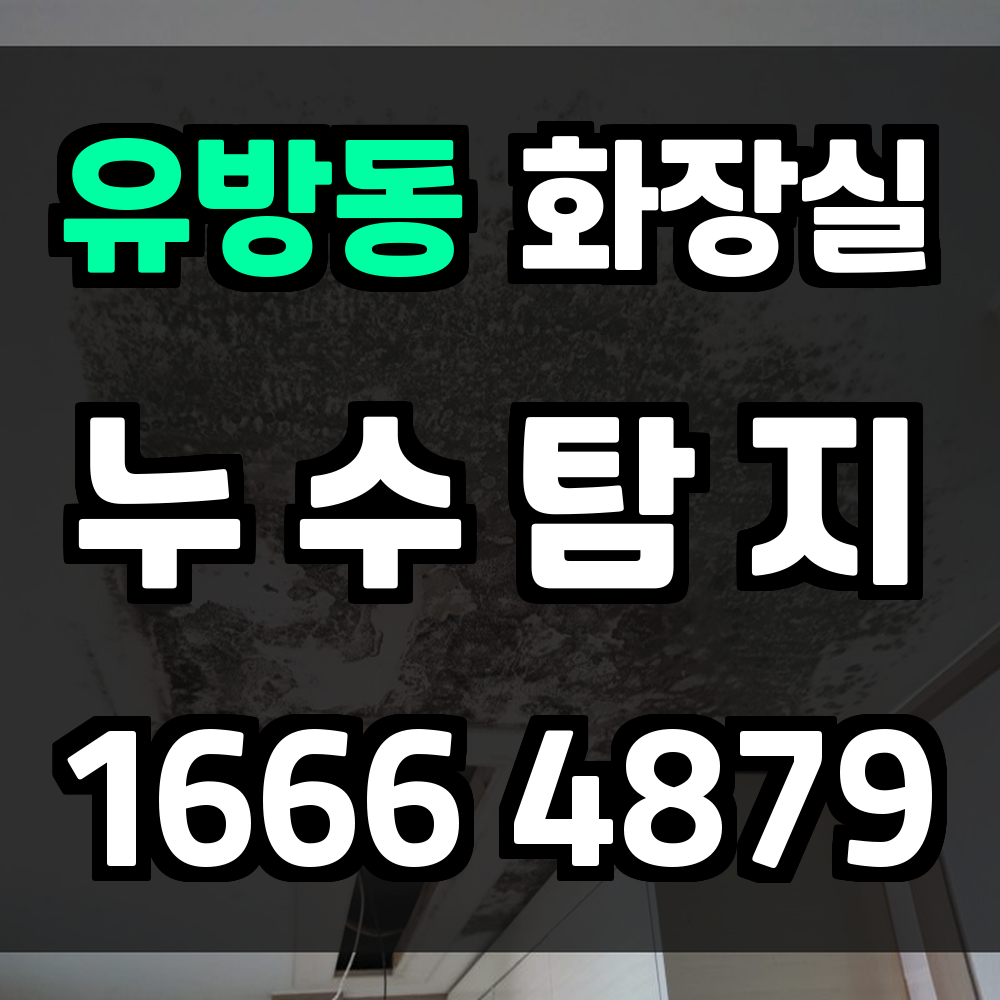 유방동 화장실 누수탐지 신속 정확한 원인 해결 서비스