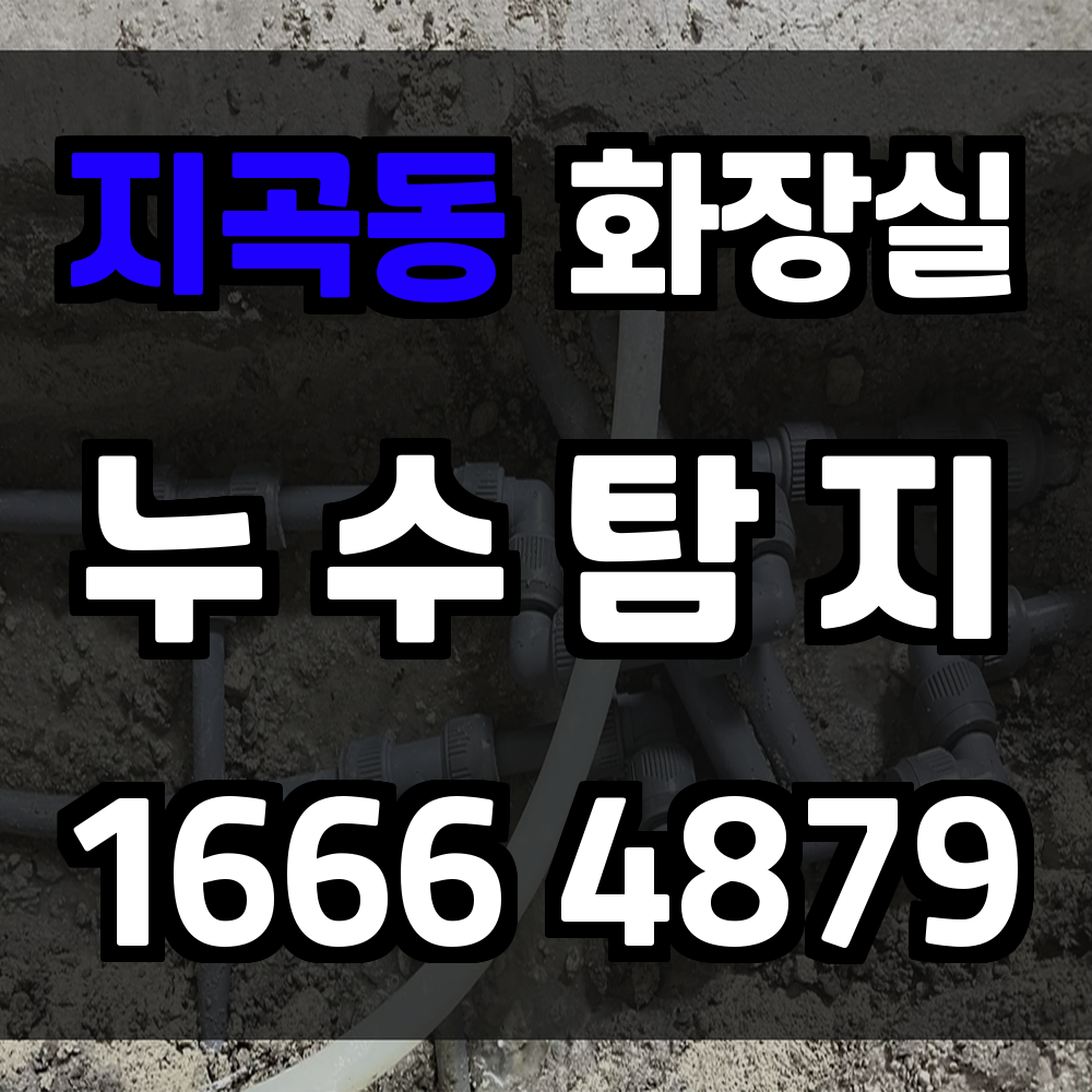 지곡동 화장실 누수탐지 정밀 탐지와 빠른 복구