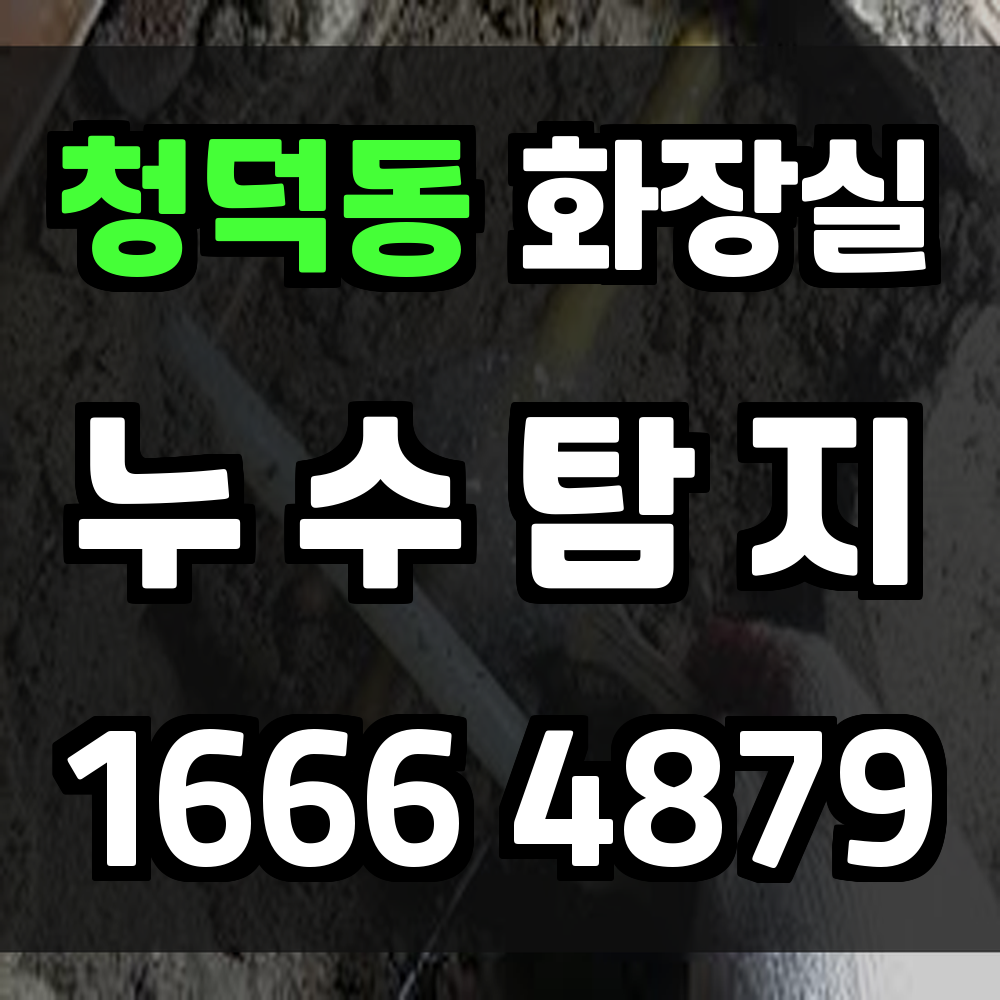 청덕동 화장실 누수탐지 정확한 진단과 빠른 복구 서비스
