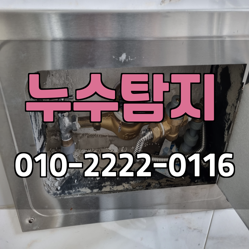 평택 누수탐지 서비스 지역