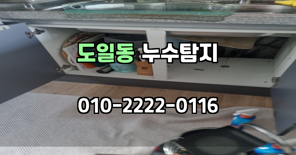 도일동 누수탐지
