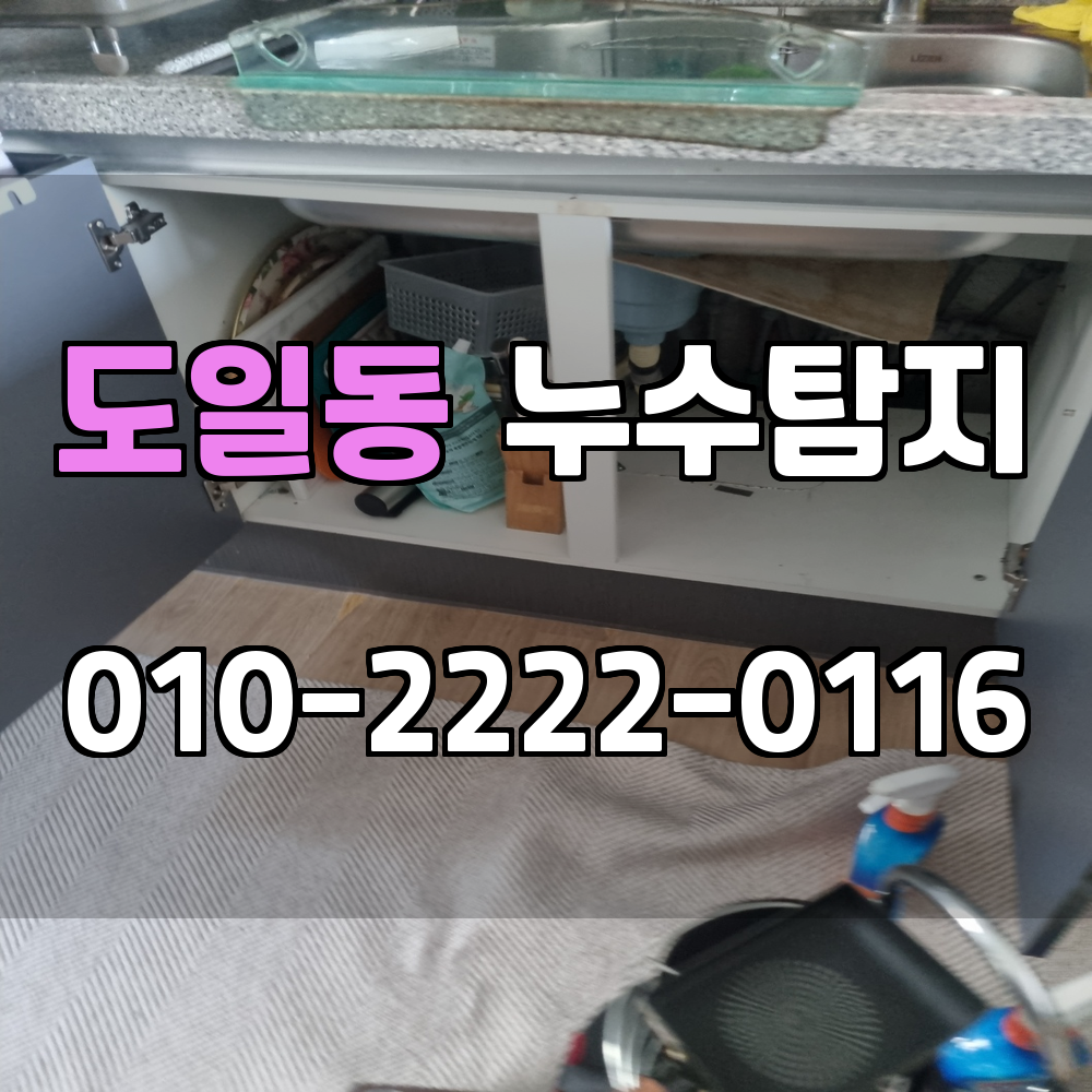도일동 누수탐지 서비스 지역