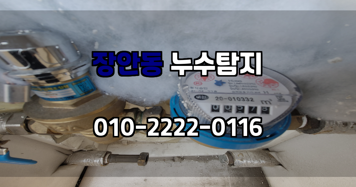 장안동 누수탐지