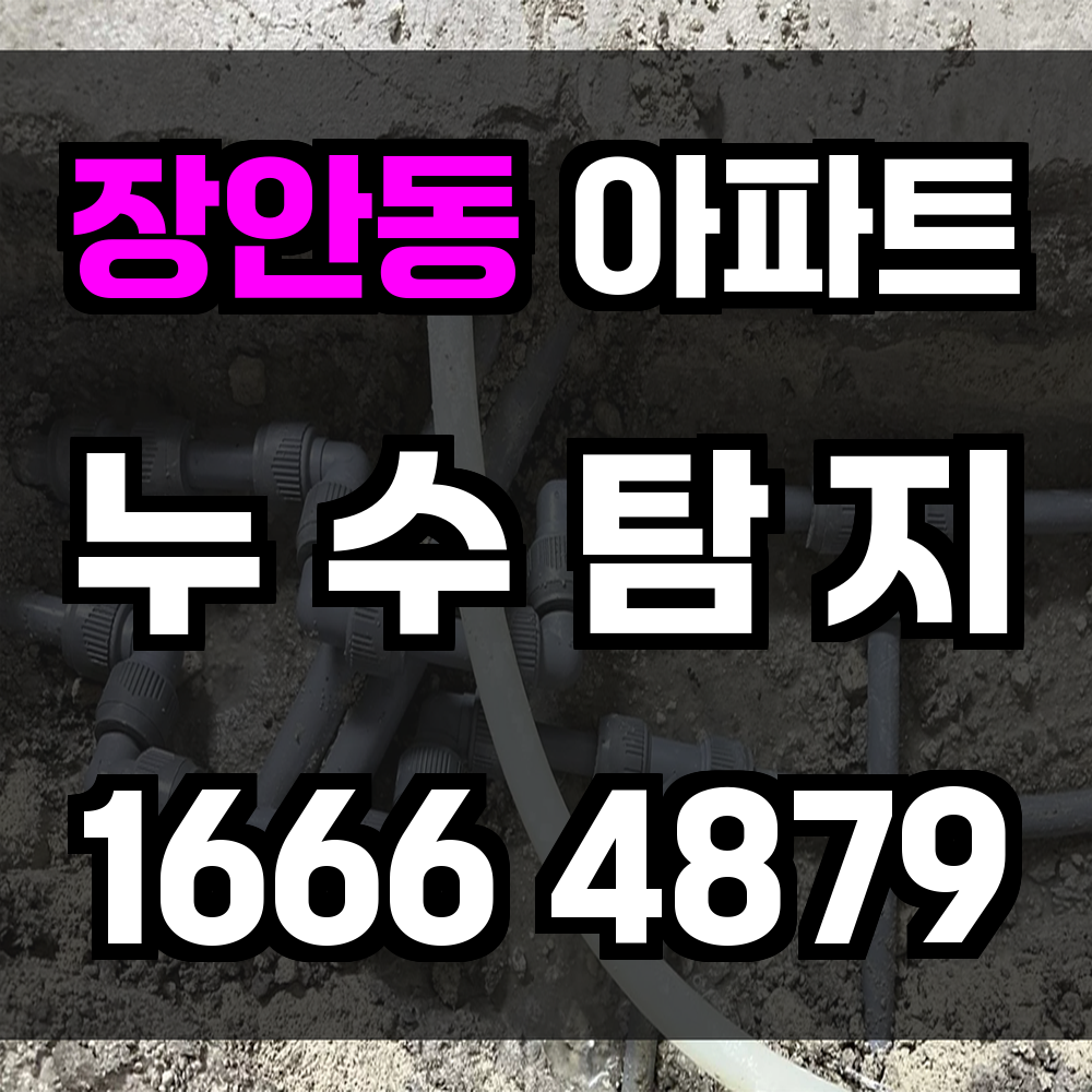 장안동 아파트 누수탐지 수분 문제 조기 탐지로 피해 최소화