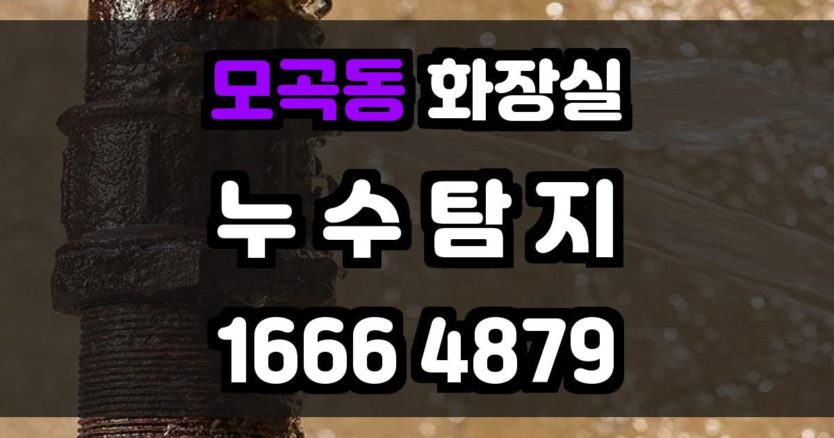 모곡동 화장실 누수