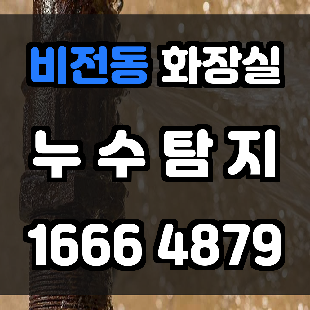 비전동 화장실 누수