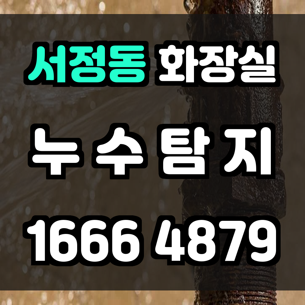 서정동 화장실 누수