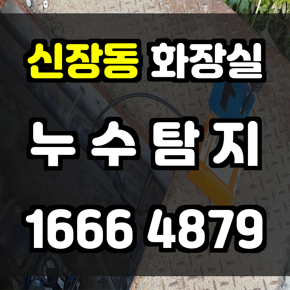 신장동 화장실 누수탐지 비파괴 진단으로 빠르게 원인 해결
