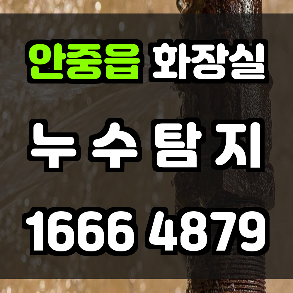 안중읍 화장실 누수