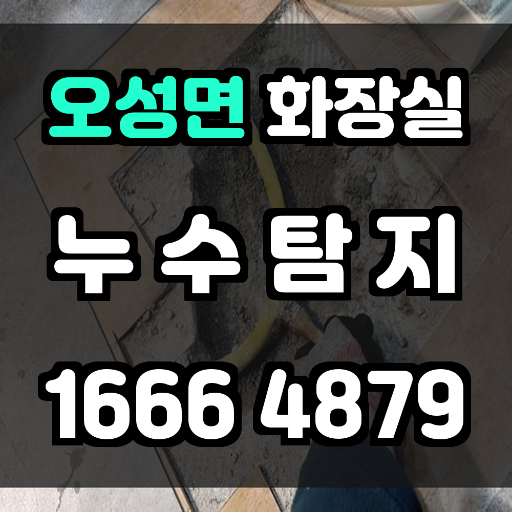 오성면 화장실 누수탐지 장비 기반의 정밀 탐색 서비스 제공