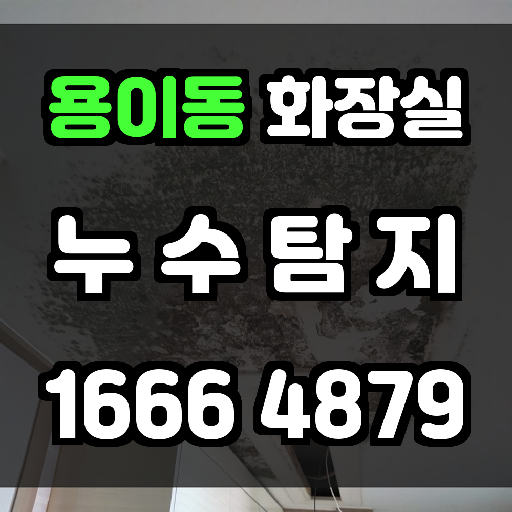 용이동 화장실 누수탐지 신속 진단과 최소 파손의 누수 해결