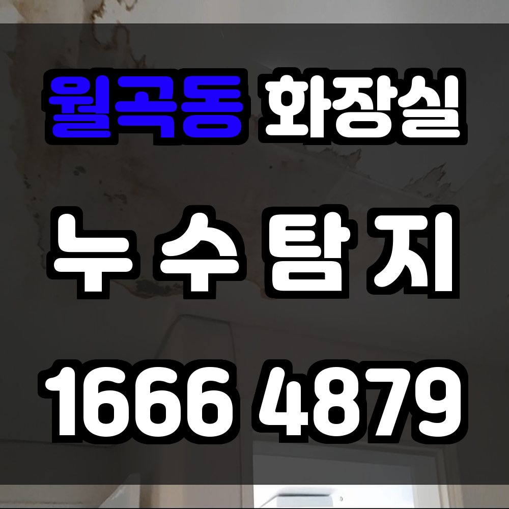 월곡동 화장실 누수