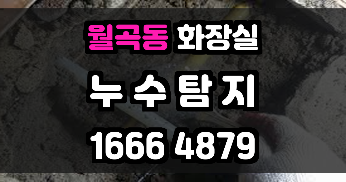 월곡동 화장실 누수