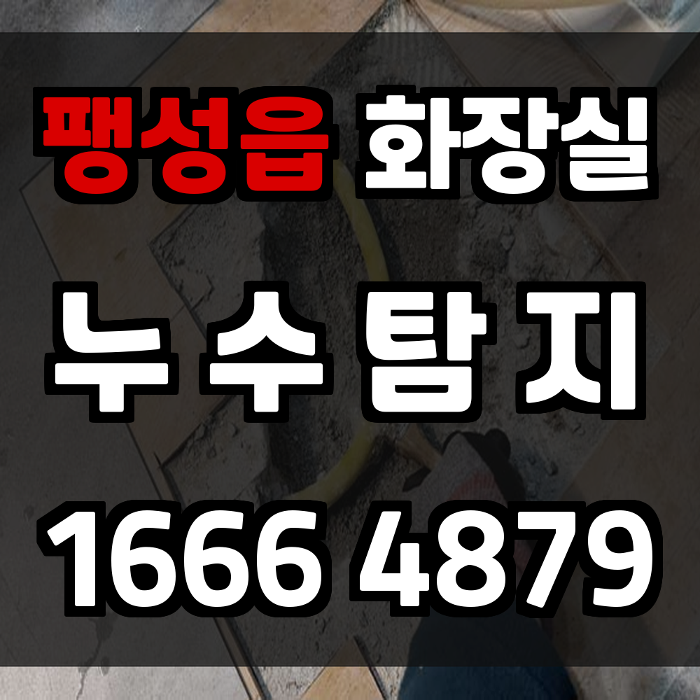 팽성읍 화장실 누수탐지 피해 확산 방지와 효율적 복구