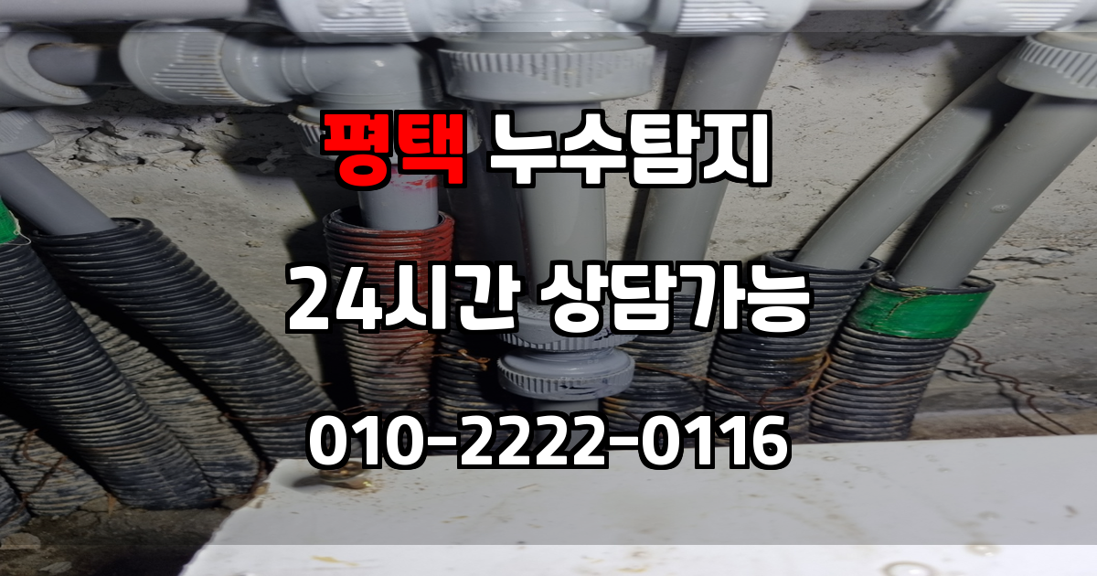 평택 누수탐지 서비스 지역