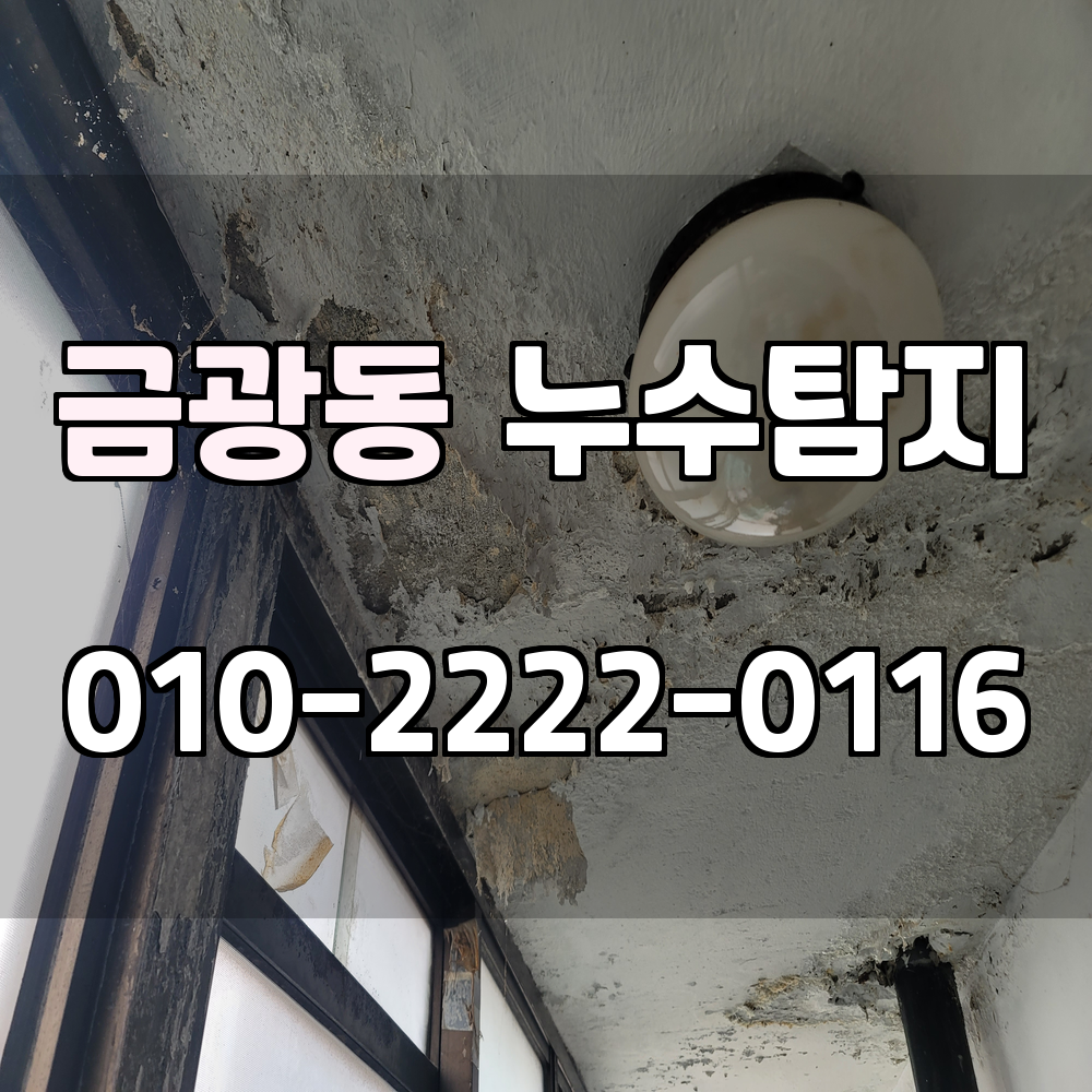 금광동 누수탐지 서비스 지역