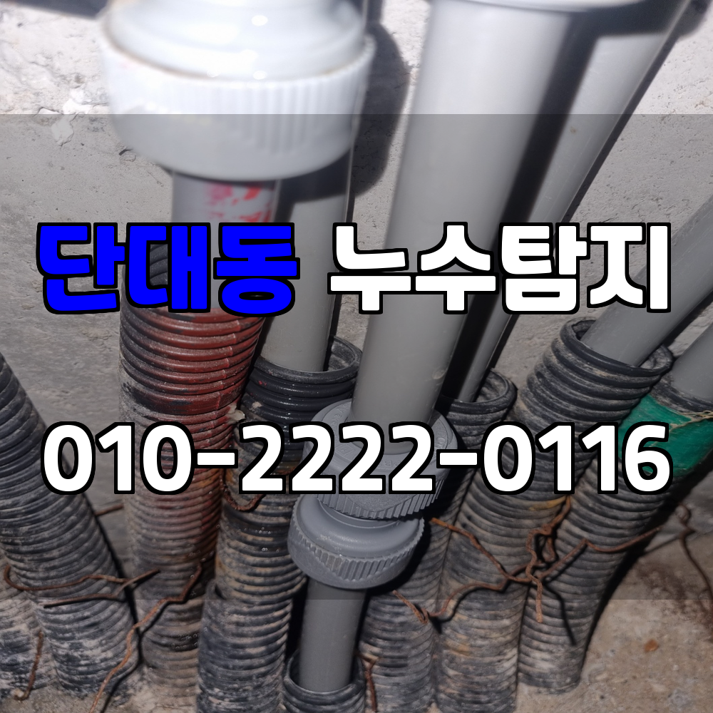 단대동 누수탐지 서비스 지역