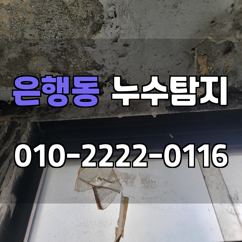 은행동 누수탐지 서비스 지역