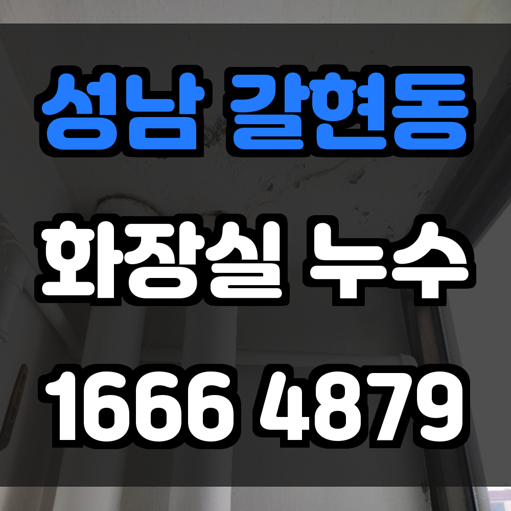 성남 갈현동 화장실 누수