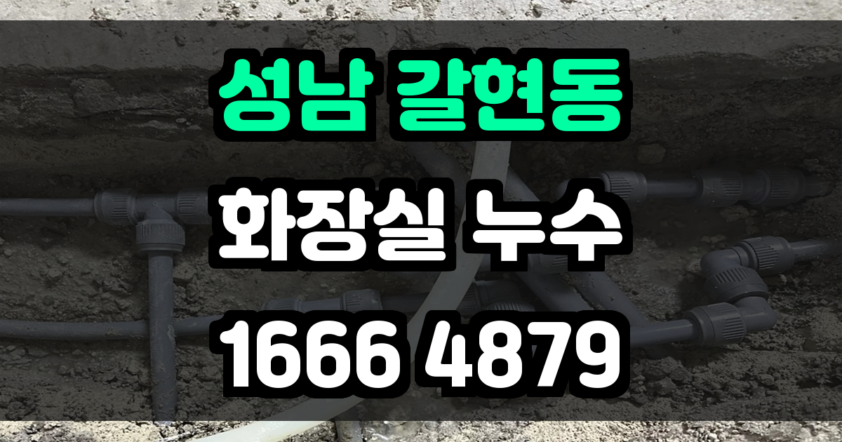 성남 갈현동 화장실 누수