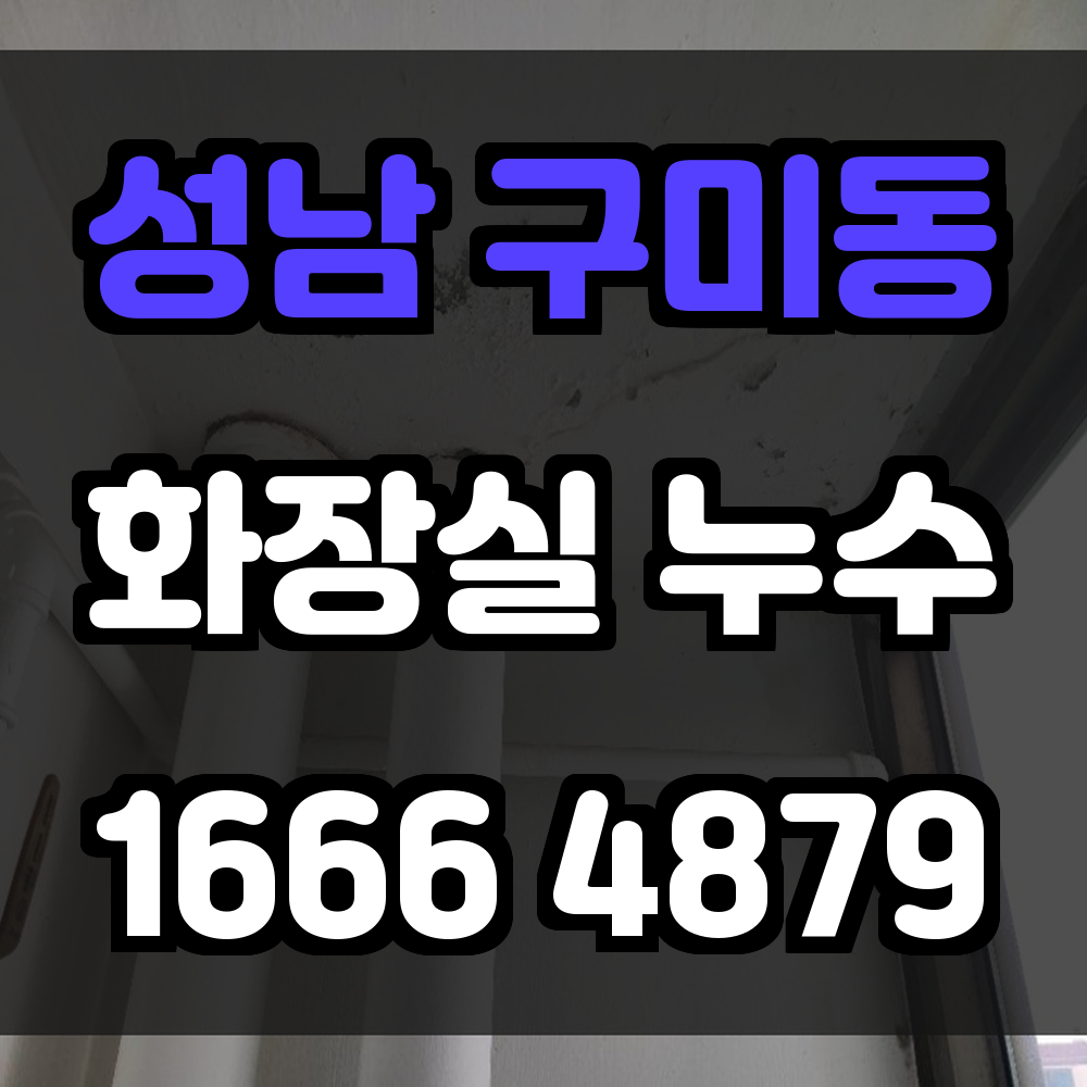 성남 구미동 화장실 누수