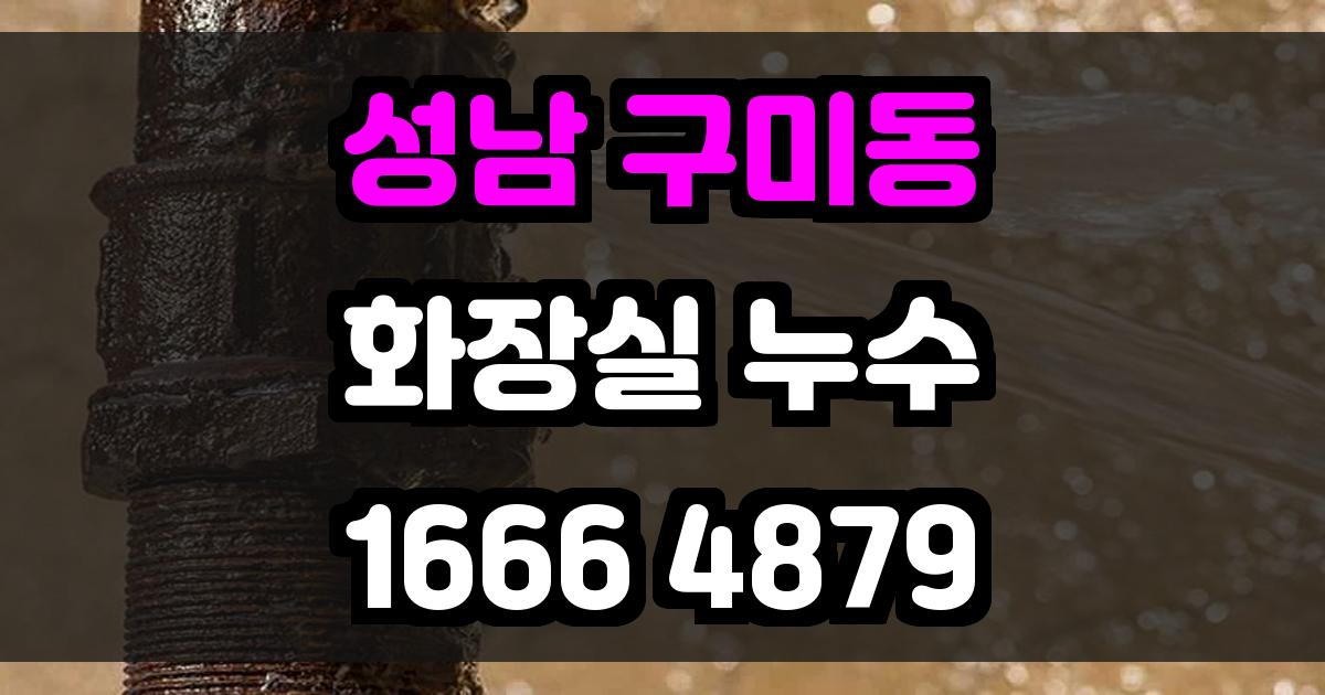 성남 구미동 화장실 누수