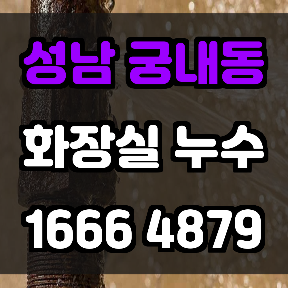 성남 궁내동 화장실 누수