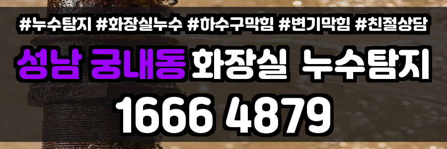 성남 궁내동 화장실 누수