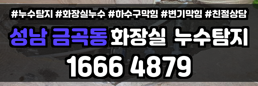 성남 금곡동 화장실 누수