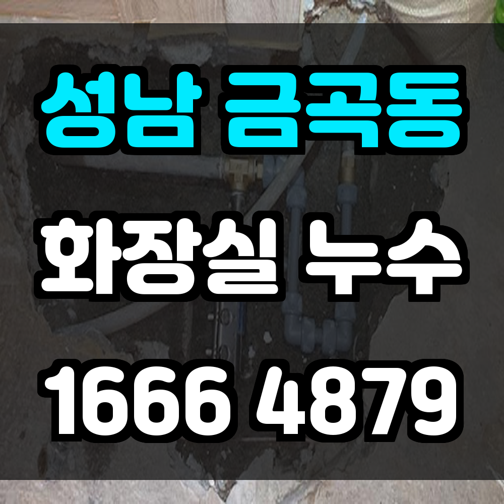 성남 금곡동 화장실 누수