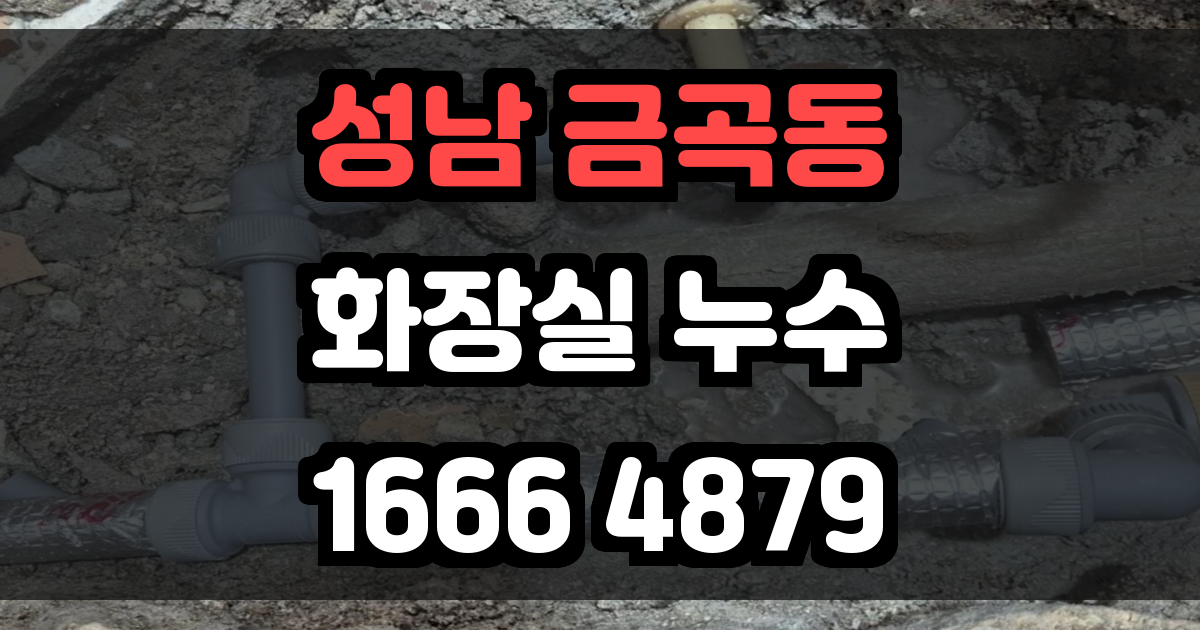 성남 금곡동 화장실 누수