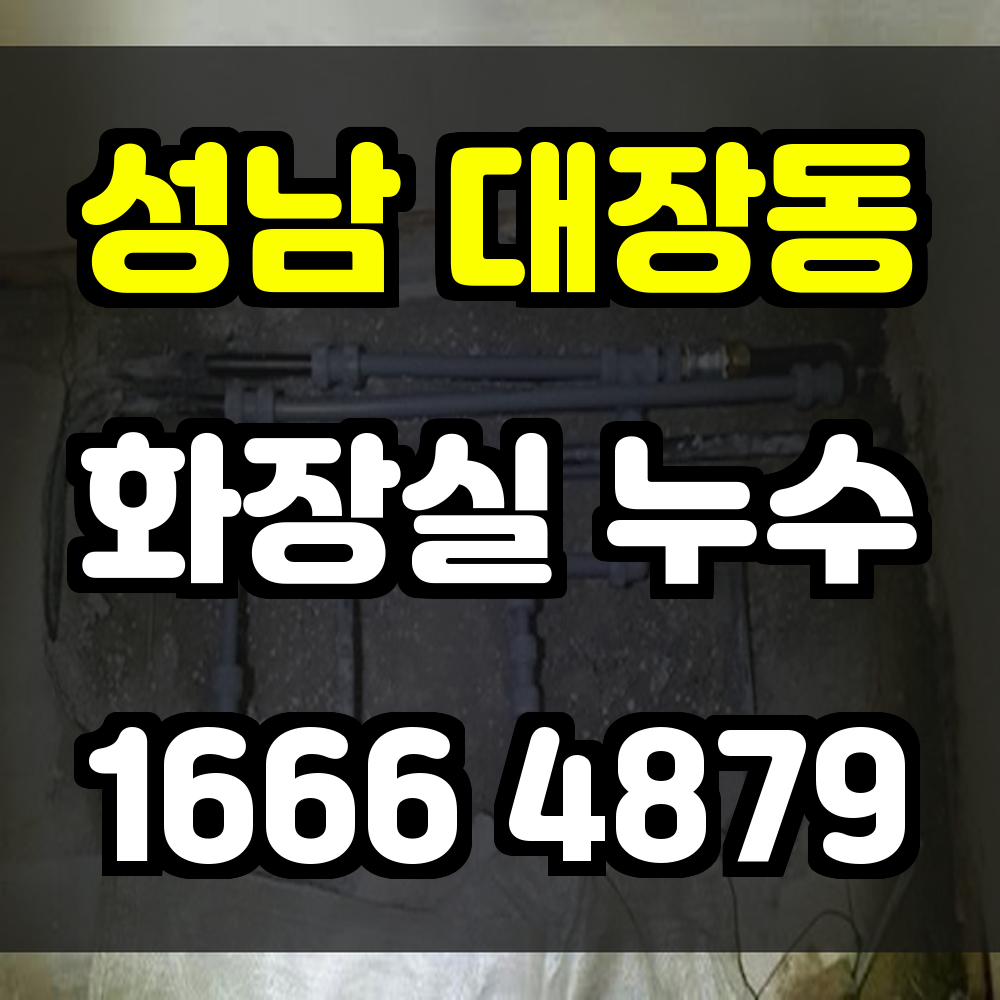 성남 대장동 화장실 누수