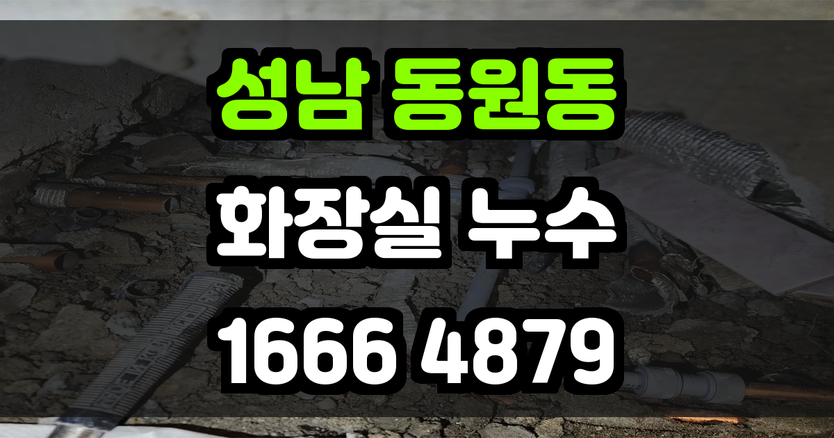 성남 동원동 화장실 누수