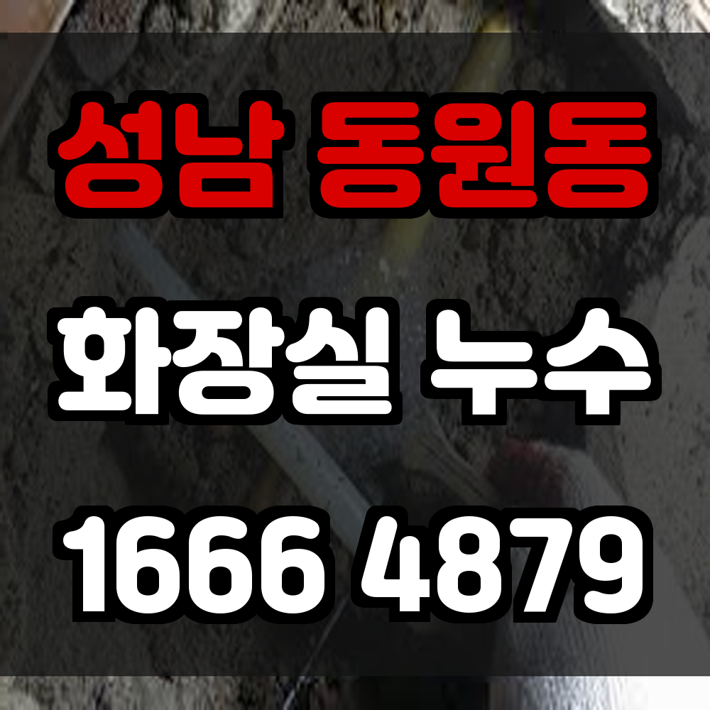 성남 동원동 화장실 누수