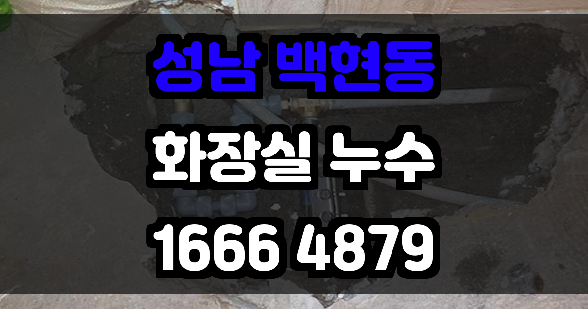 성남 백현동 화장실 누수