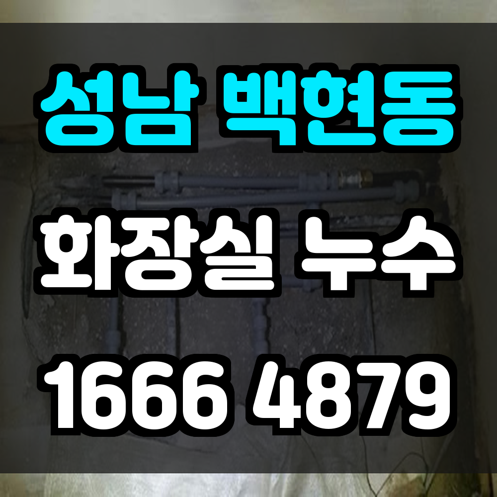 성남 백현동 화장실 누수