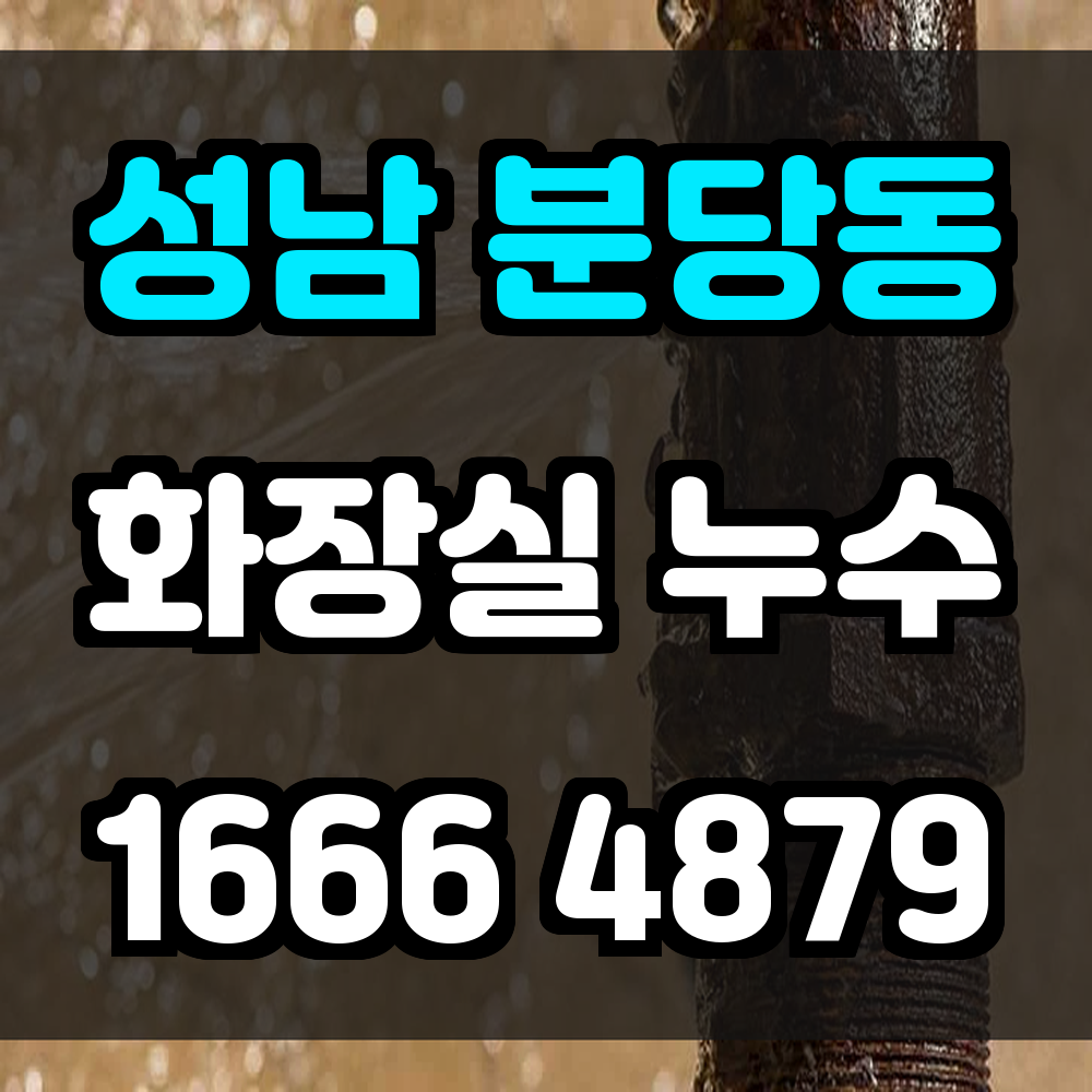 성남 분당동 화장실 누수
