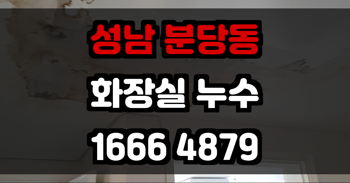 성남 분당동 화장실 누수