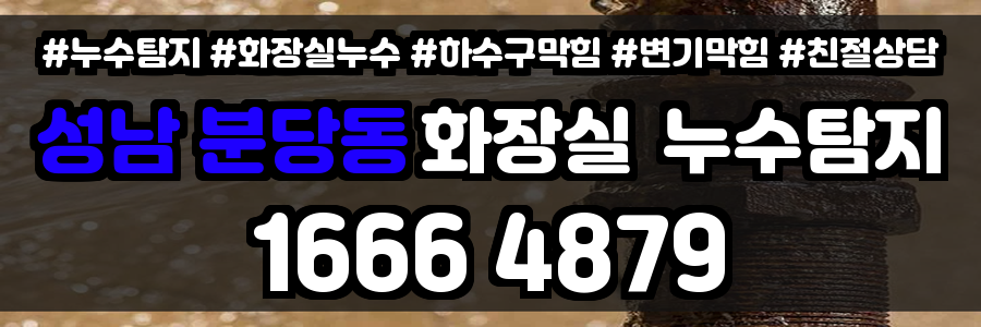 성남 분당동 화장실 누수
