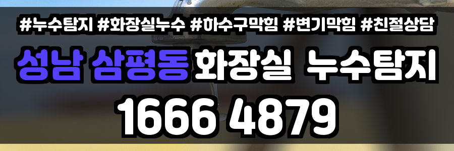 성남 삼평동 화장실 누수