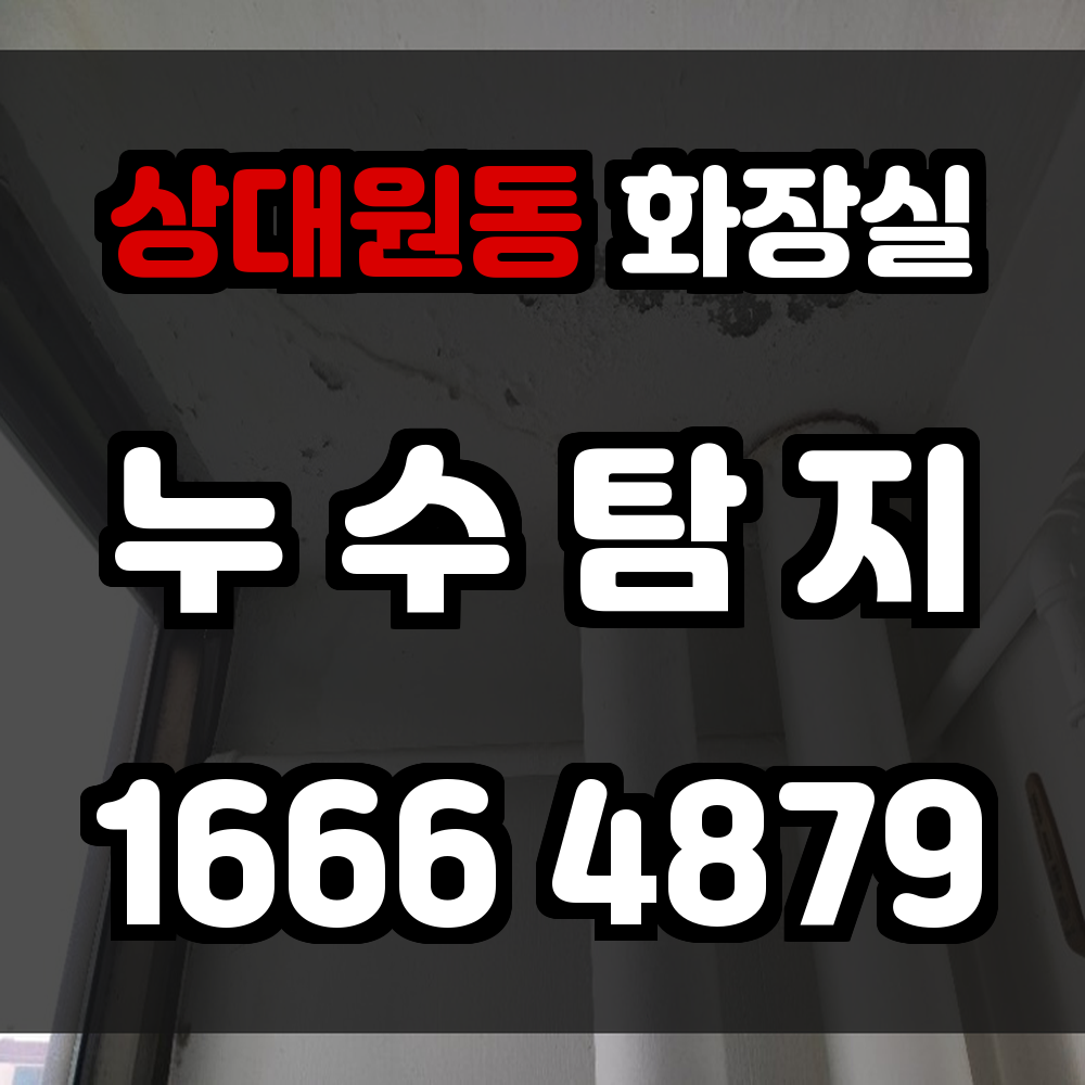 상대원동 화장실 누수탐지 정밀 진단으로 더 큰 피해를 막는 현명한 선택