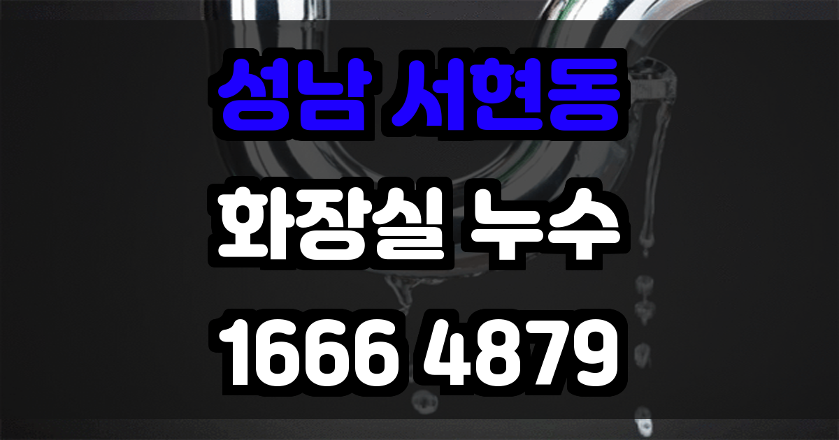 성남 서현동 화장실 누수