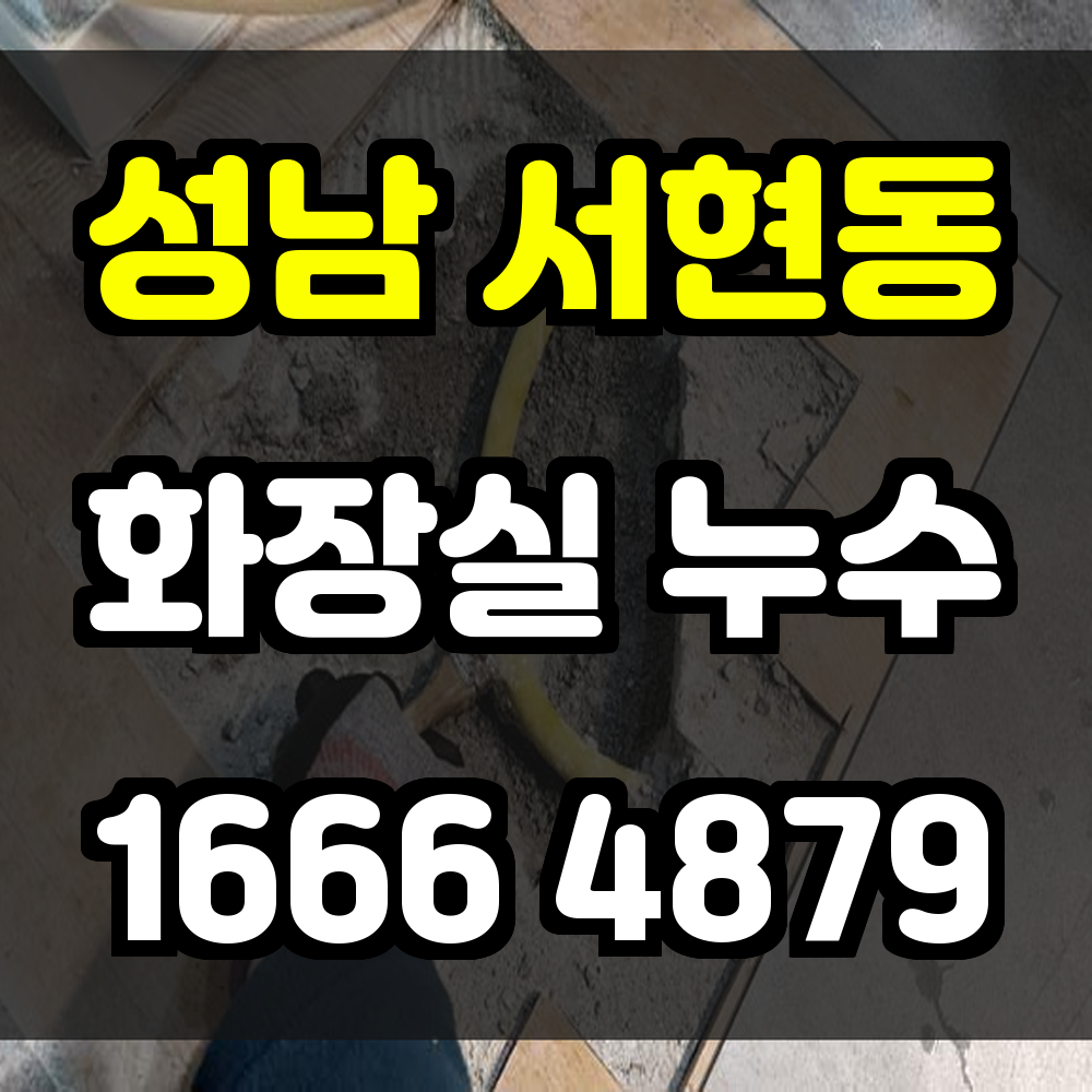 성남 서현동 화장실 누수탐지 작은 습기 하나도 놓치지 않는 정확한 진단
