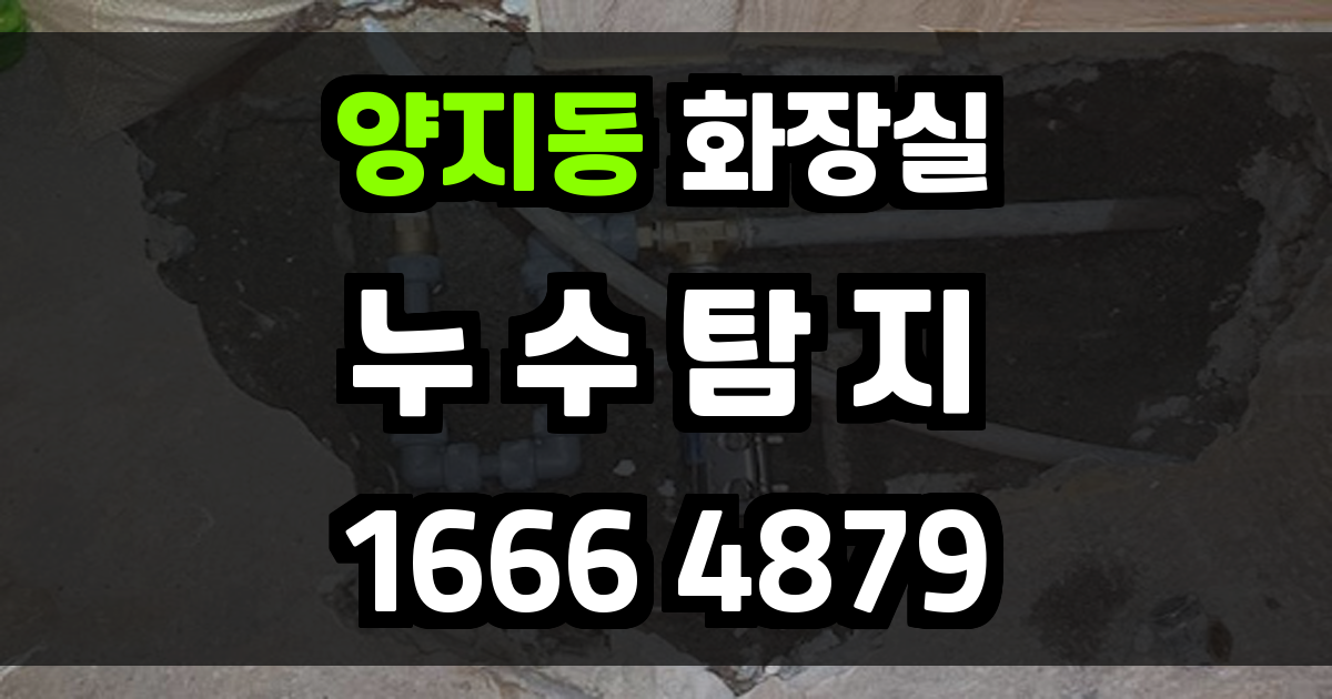 양지동 화장실 누수