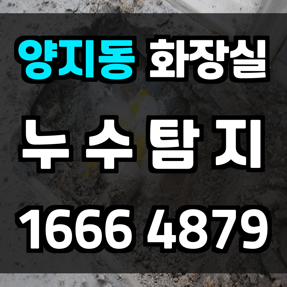 양지동 화장실 누수탐지 오래된 주택과 신축 모두 정밀 진단