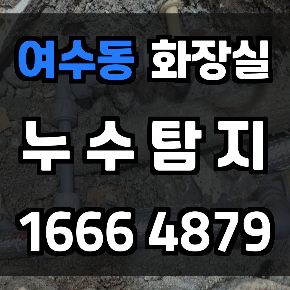 여수동 화장실 누수탐지 정밀 진단으로 곰팡이와 악취 사전 차단